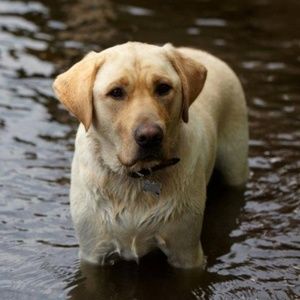 Welcome to Smart Closet,